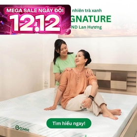 Nệm Gummi Signature – Công nghệ kép, nâng đỡ vượt trội, kháng khuẩn tối đa
