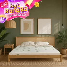 Nệm cao su thiên nhiên Gummi Classic thế hệ mới dày 5/10/15cm