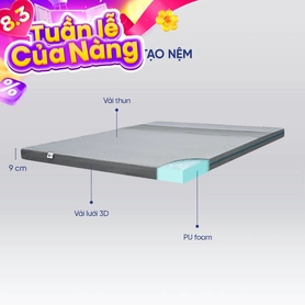 (Hàng xả tồn) Nệm foam Goodnight Osaka