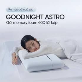 Gối ngủ sâu Memory foam 40D Goodnight Astro lõi kép