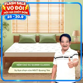 (Quà 8 món) Nệm cao su thiên nhiên Gummi Classic thế hệ mới dày 5/10/15cm