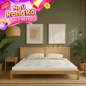 Nệm cao su thiên nhiên Gummi Classic thế hệ mới dày 5/10/15cm