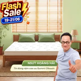 (Giảm 4,5 triệu) Nệm cao su thiên nhiên Gummi Classic thế hệ mới dày 5/10/15cm
