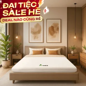 Nệm cao su Gummi 7zones nhập khẩu dày 12cm