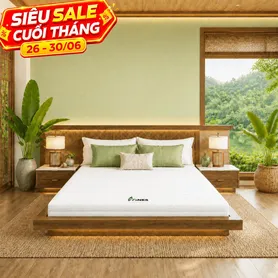 Nệm cao su Gummi 7zones nhập khẩu dày 12cm