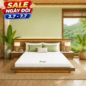 Nệm cao su Gummi 7zones nhập khẩu dày 12cm