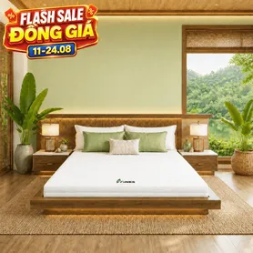 Nệm cao su Gummi 7zones nhập khẩu dày 12cm