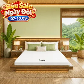 Nệm cao su Gummi 7zones nhập khẩu dày 12cm