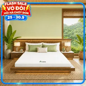 Nệm cao su Gummi 7zones nhập khẩu dày 12cm
