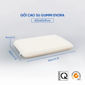 Gối cao su Gummi Evora 100% thiên nhiên massage thoáng khí