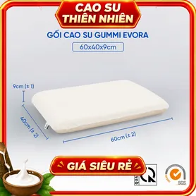 Gối cao su Gummi Evora 100% thiên nhiên massage thoáng khí