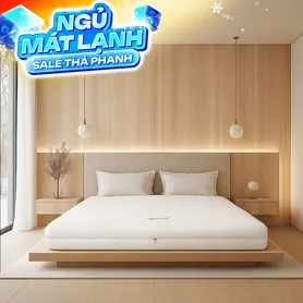 Nệm cao su cao cấp Gummi Legend nhập khẩu dày 20cm