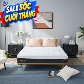 (Phiên bản giới hạn) Nệm Foam Tempur Pro Plus Firm cân bằng trọng lực dày 25cm