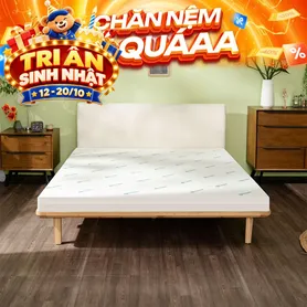 Nệm cao su đa tầng Gummi Lite giá tốt dày 10cm