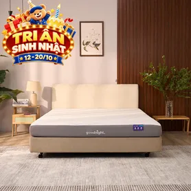 Nệm foam Goodnight Massage 2.0 (Hachi) giảm áp lực dày 15cm