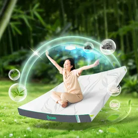 Nệm cao su thiên nhiên Gummi Premium detox giấc ngủ