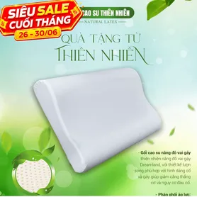 Gối Cao su Dreamland nâng đỡ vai gáy