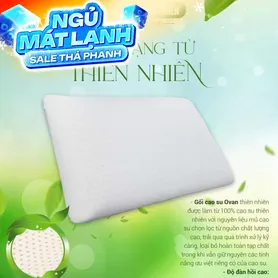 Gối Cao su Dreamland Ovan