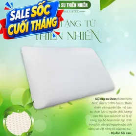 Gối Cao su Dreamland Ovan