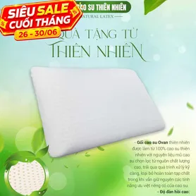 Gối Cao su Dreamland Ovan