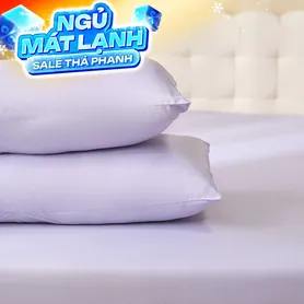 Vỏ gối tencel cao cấp Goodnight Airsilk