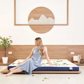 Nệm foam Goodnight Nagoya kháng khuẩn dày 12cm