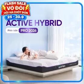 (Phiên bản Pro 2026 - x3 Kikoo) Nệm foam Goodnight Active Hybrid làm mát
