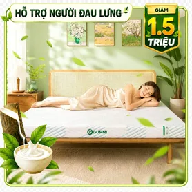 Nệm Gummi Signature – Công nghệ kép, nâng đỡ vượt trội, kháng khuẩn tối đa
