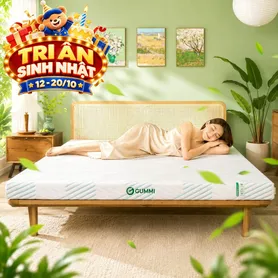 Nệm Gummi Signature – Công nghệ kép, nâng đỡ vượt trội, kháng khuẩn tối đa