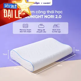 Gối foam công thái học cao cấp Goodnight Nori 2.0