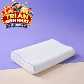 Gối foam công thái học cao cấp Goodnight Nori 2.0