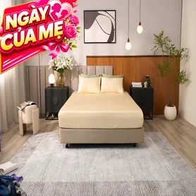 Bộ ga chun Goodnight Signature
