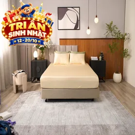 Bộ ga chun Goodnight Signature