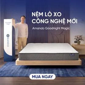 Nệm lò xo giảm đau lưng Amando Goodnight Magic