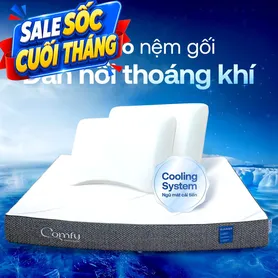 Combo Đàn Hồi Thoáng Khí 2: 1 đệm Cloud 2.0 + 2 gối Sofy Air