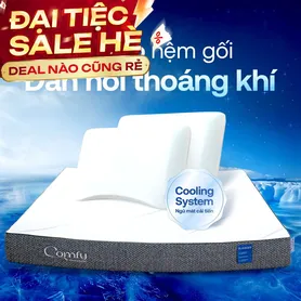 Combo Đàn Hồi Thoáng Khí 2: 1 đệm Cloud 2.0 + 2 gối Sofy Air