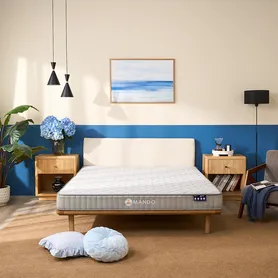 Nệm lò xo Amando Eco