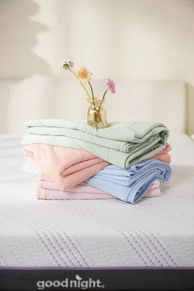 Chăn Goodnight Snow Silk Elite