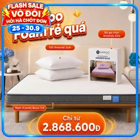 Combo rẻ quá 2: Đệm Foam iComfy Basic 1.0 kèm ga gối