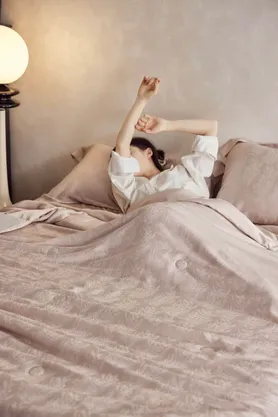 Bộ ga chun 5 chi tiết Liiesen Lụa Tencel Tơ Tằm Luxury