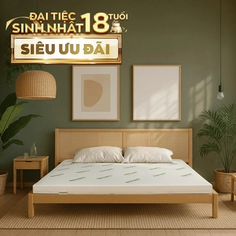 Nệm cao su thiên nhiên Gummi Classic thế hệ mới dày 5/10/15cm Nệm cao su thiên nhiên Gummi Classic thế hệ mới dày 5/10/15cm