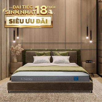 Nệm foam Comfy Cloud 2.0 siêu đàn hồi dày 15cm Nệm foam Comfy Cloud 2.0 siêu đàn hồi dày 15cm