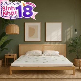 Nệm cao su thiên nhiên Gummi Classic thế hệ mới dày 5/10/15cm Nệm cao su thiên nhiên Gummi Classic thế hệ mới dày 5/10/15cm