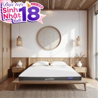 Nệm cao su đa tầng Goodnight Latex Hybrid (Rena) vững chắc, thông thoáng dày 10cm Nệm cao su đa tầng Goodnight Latex Hybrid (Rena) vững chắc, thông thoáng dày 10cm