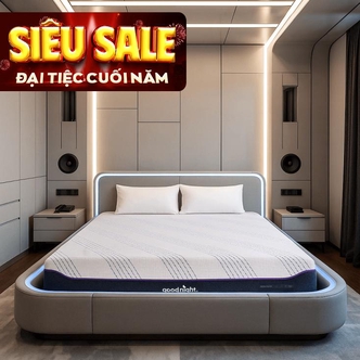 Nệm foam công nghệ Đức Goodnight Active Hybrid dày 20cm