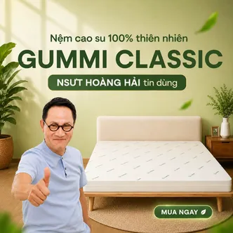 Nệm cao su thiên nhiên Gummi Classic thế hệ mới dày 5/10/15cm