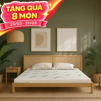 Nệm cao su thiên nhiên Gummi Classic thế hệ mới dày 5/10/15cm