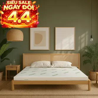 Nệm cao su thiên nhiên Gummi Classic thế hệ mới dày 5/10/15cm
