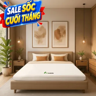 Nệm cao su Gummi 7zones nhập khẩu dày 12cm