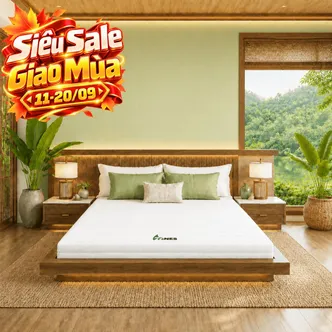Nệm cao su Gummi 7zones nhập khẩu dày 12cm